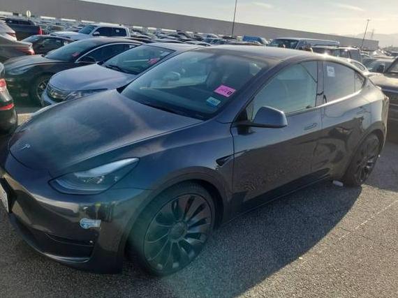 TESLA MODEL Y 2021 5YJYGDEF8MF157737 image